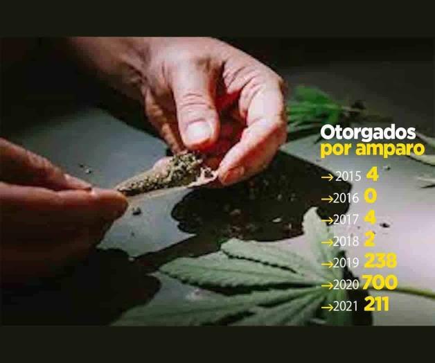 Expidió Cofepris 1,159 permisos para consumo de marihuana
