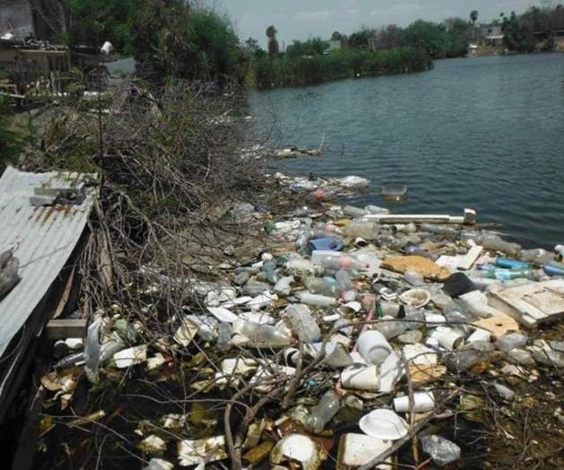 Contaminan laguna Contaminan laguna