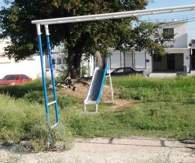 Cubre maleza las plazas; urgen limpieza y fumigación Cubre maleza las plazas; urgen limpieza y fumigación