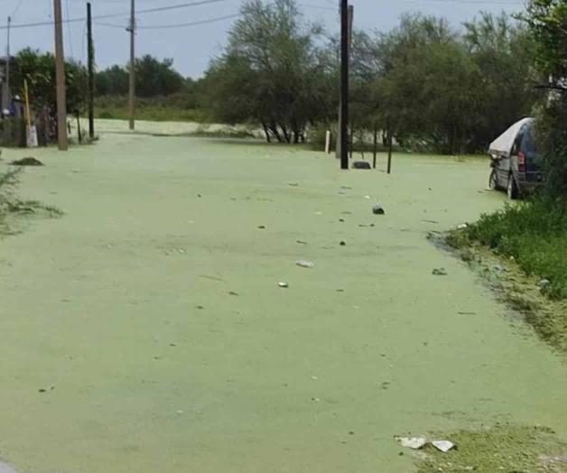 Se desborda laguna de aguas residuales