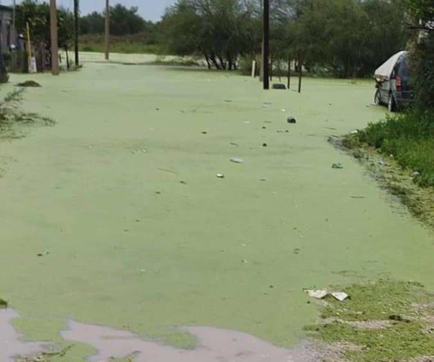 Claman por ayuda habitantes de Nuevo Progreso tras lluvias Claman por ayuda habitantes de Nuevo Progreso tras lluvias
