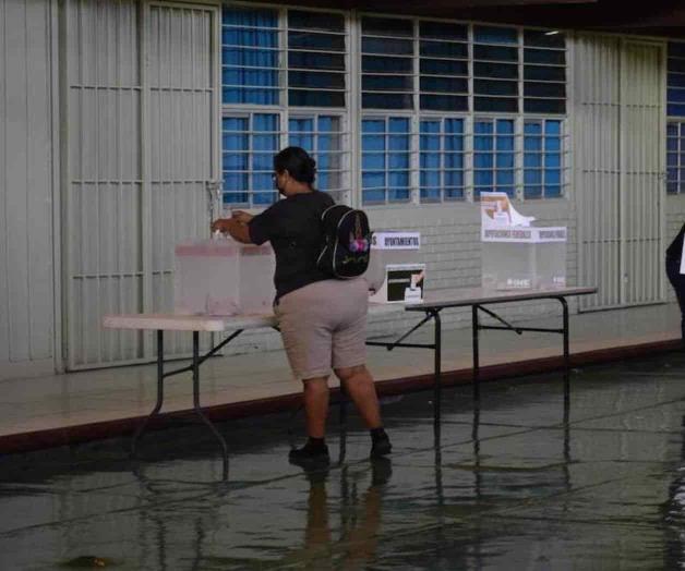 Usarán escuelas para la consulta Usarán escuelas para la consulta