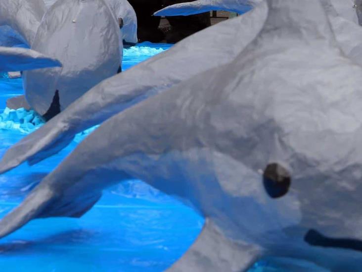 Sentencian a la vaquita marina Sentencian a la vaquita marina