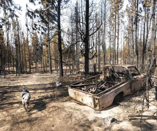 Cuadrillas avanzan frente a incendio en oeste de EU