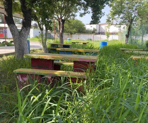 Invade hierba a Jardín de Niños Invade hierba a Jardín de Niños