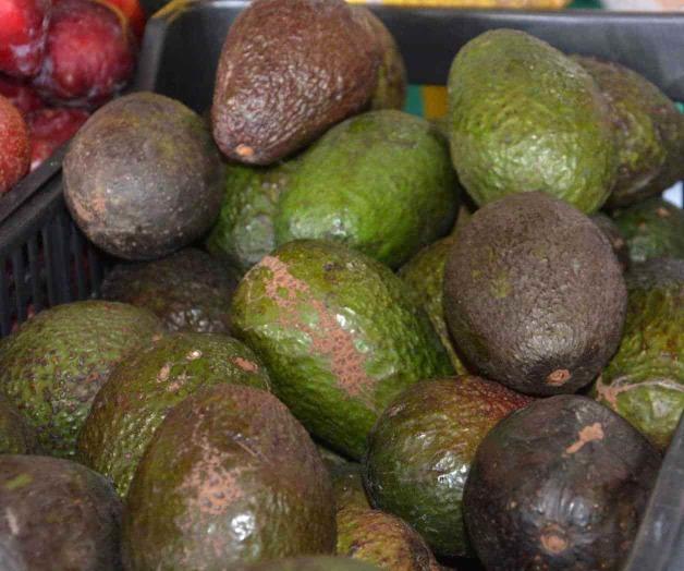 Detona pandemia la ‘canasta básica’ Detona pandemia la ‘canasta básica’