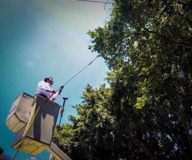 Tira la rentabilidad prohiban glifosato Tira la rentabilidad prohiban glifosato