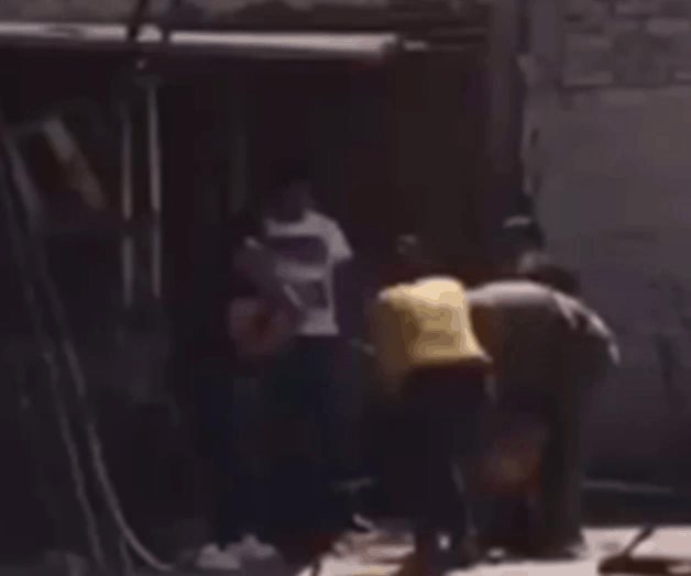 Familia mata a golpes a un perro en Edomex Familia mata a golpes a un perro en Edomex