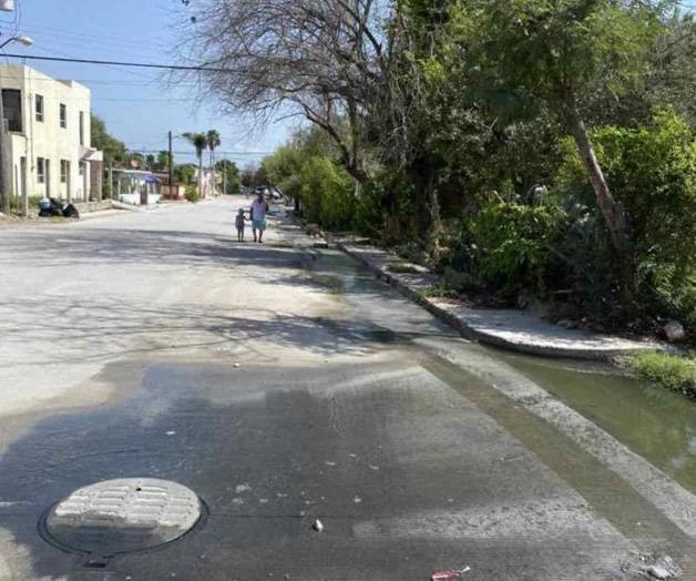 Vuelve a brotar el drenaje