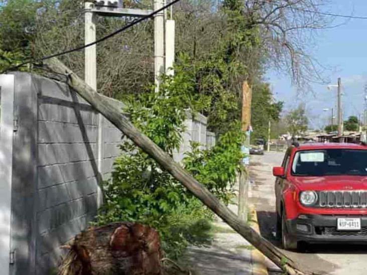 Obstruye poste paso peatonal Obstruye poste paso peatonal