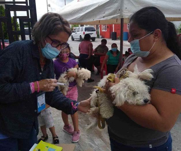 Concientizan para vacunar a las mascotas