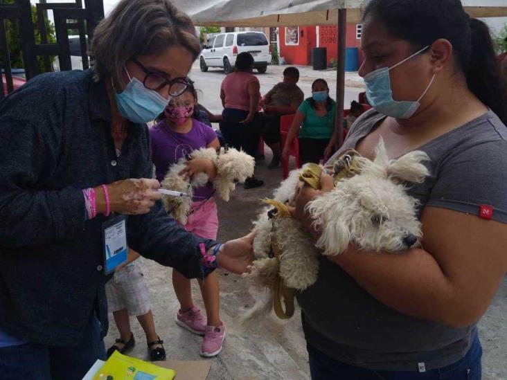 Concientizan para vacunar a las mascotas Concientizan para vacunar a las mascotas