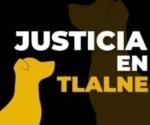Exigen justicia por perro que murió a golpes en Tlalnepantla