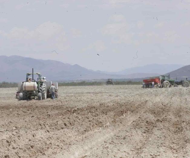 Abandonan campo por falta de apoyos