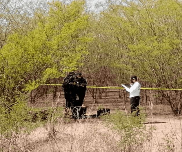 Localizan dos cuerpos en estado de descomposición en Culiacán