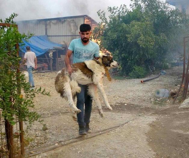 Incendios en Turquía dejan 3 muertos y 58 hospitalizados