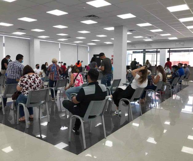 Crece demande de lincencias