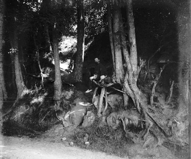 Las verdaderas raíces que inspiraron a Van Gogh