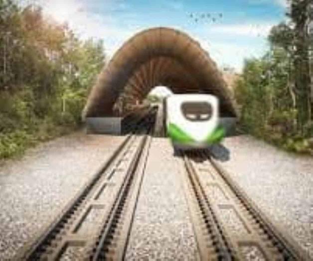 Especialistas analizan daños que generará el Tren Maya