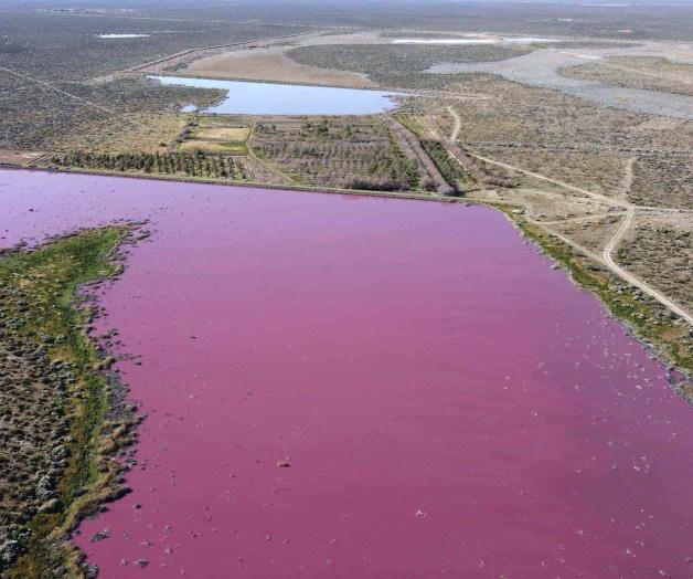 Alerta a los ambientalistas el color rosa de laguna