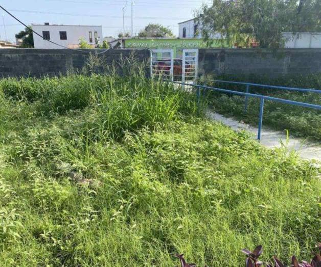 Pide CAPA apoyo para limpieza y poda de sus instalaciones Pide CAPA apoyo para limpieza y poda de sus instalaciones