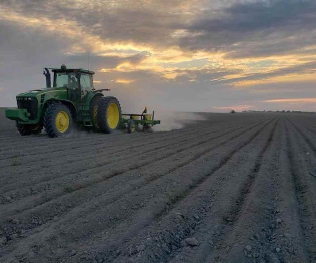Realizan recomendaciones para nuevo ciclo de siembra