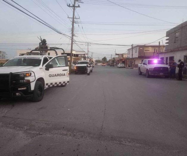 Alarma hallazgo de cadáver... de animal