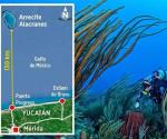 Al rescate del Arrecife Alacranes