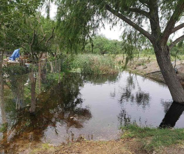 Temen casos de dengue