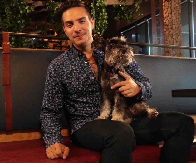 Es un chico ‘pet friendly’