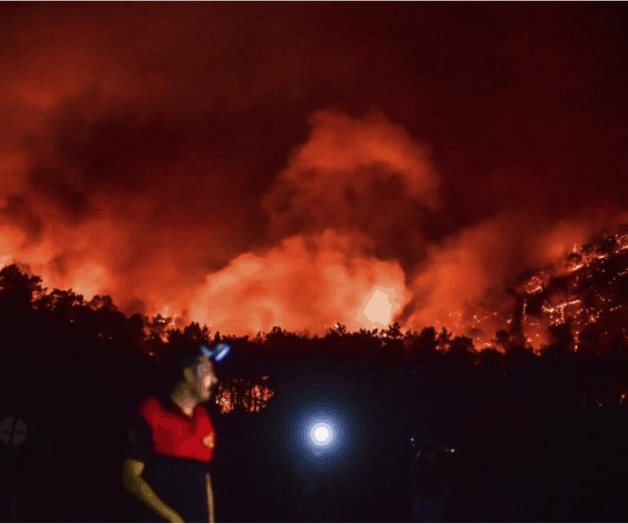 Críticas a Erdogan por incendios forestales en Turquía