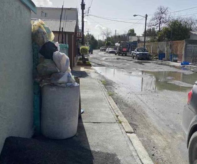 Se acumula en calles basura… y zancudos