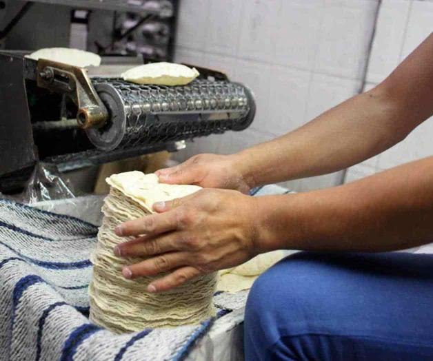 Ponen rienda a las tortillas