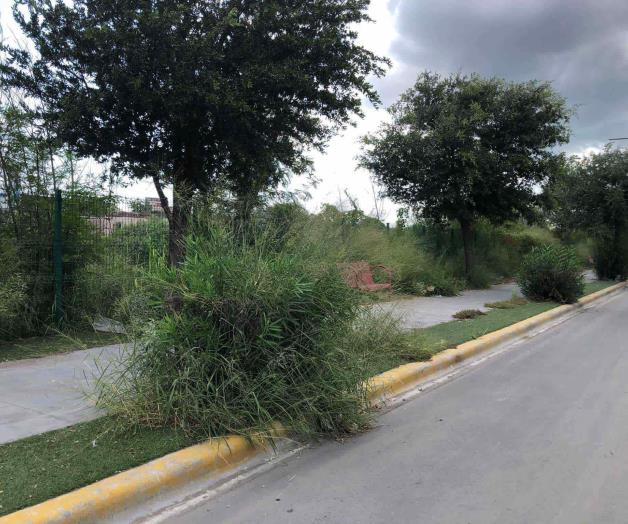 Del derroche al olvido Del derroche al olvido