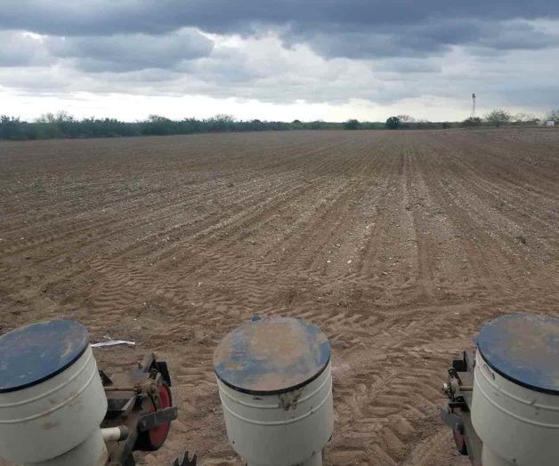 Trabajan la tierra para el próximo ciclo agrícola