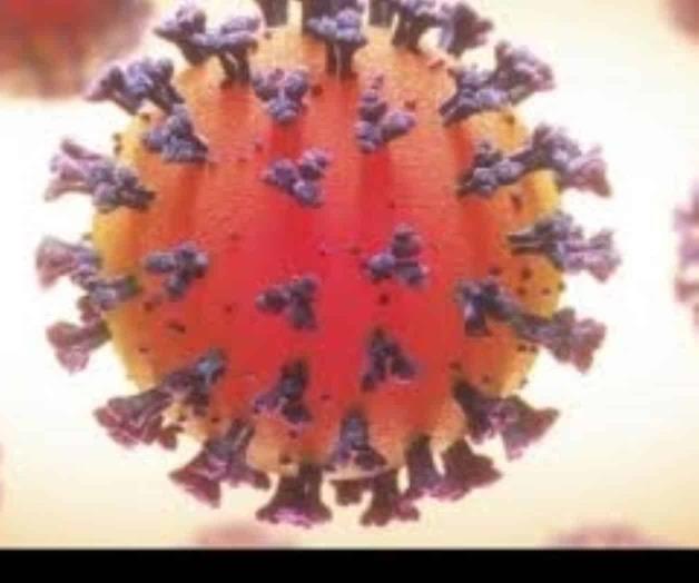 Los “graves” y “duraderos” daños post-covid