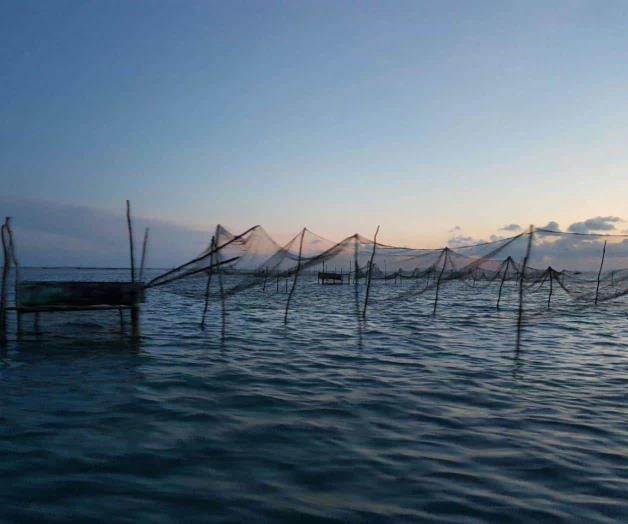 Demanda apoyo de los 3 gobiernos ante escasa pesca