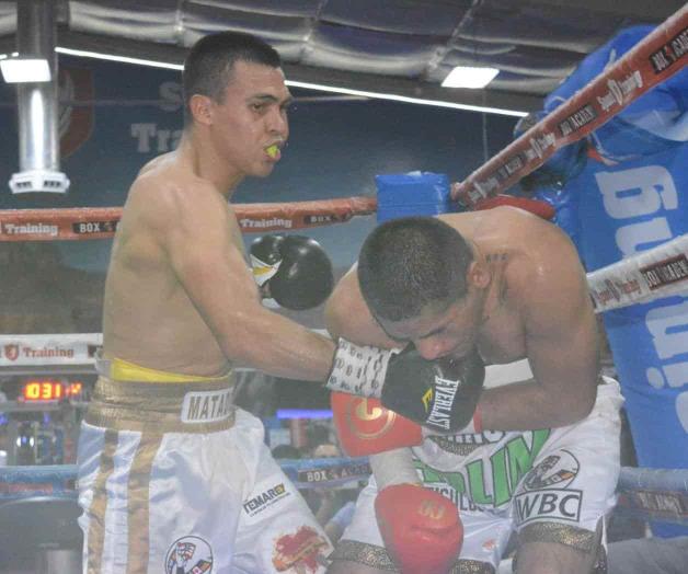 Peleará el ‘Matador’ en septiembre