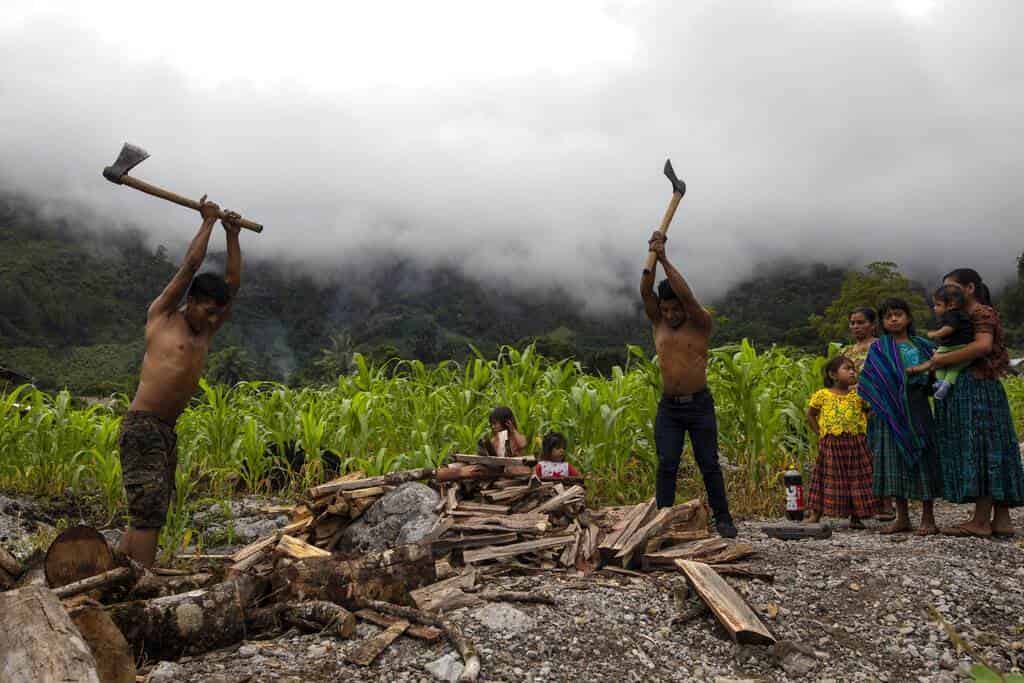 Eduardo Cal Chen, de 23 años (izquierda) y su hermano Edgar, de 20, cortan madera en el asentamiento improvisado.
