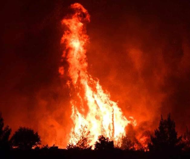 Devora incendio bosques de Evia