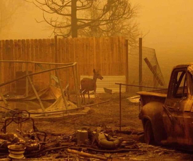 Voraz incendio sigue creciendo