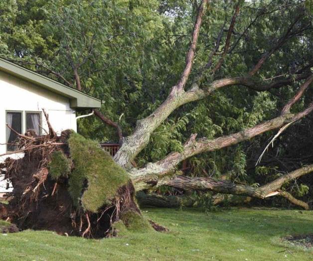 Tormentas causan apagones y cierres de carreteras en EEUU
