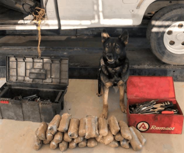 Apetito Imparable por drogas ilícitas