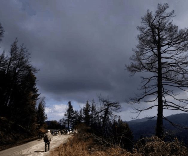 Un nuevo incendio quema la isla griega de Evia