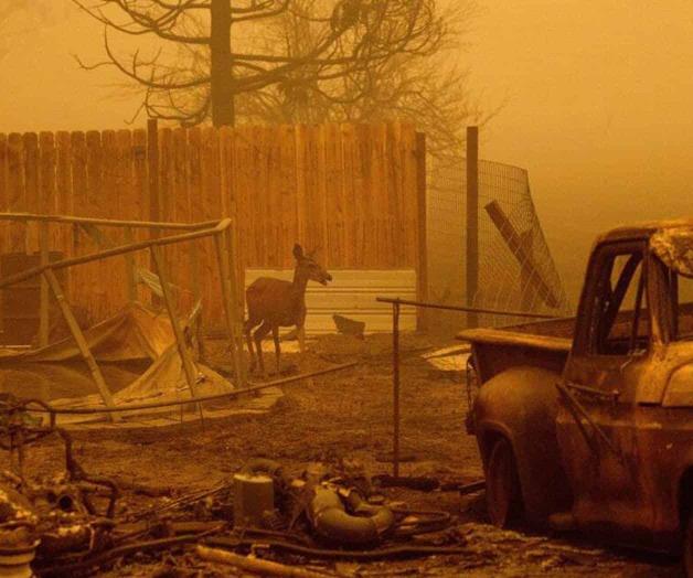 Miles de casas en riesgo por incendios en oeste de EU