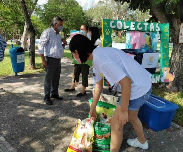 Universitarios piden alimento para gatos y perros de la calle