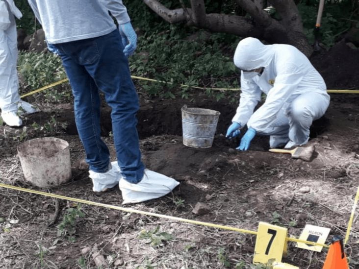 Detención de pareja condujo a localizar 9 cuerpos en fosas clandestinas en Colima Detención de pareja condujo a localizar 9 cuerpos en fosas clandestinas en Colima