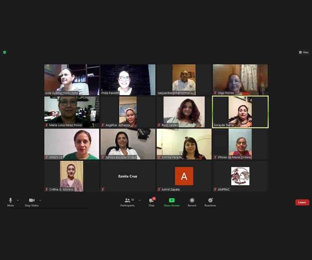 Efectua junta virtual