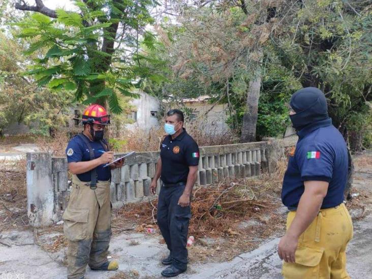 Causan alarma olores putrefactos en calle Chihuahua Causan alarma olores putrefactos en calle Chihuahua