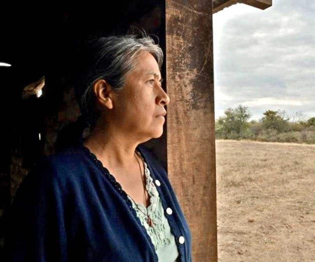 Domina nominaciones al Ariel